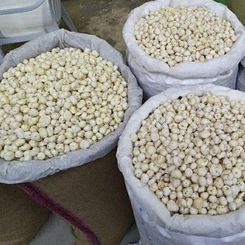 Bulk Packaging - Dev Tandoor Industries